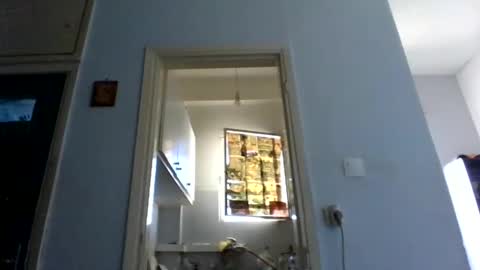 mppempis81 online show from March 8, 6:17 am