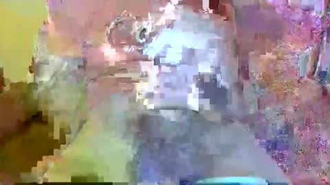 mr_cucumber online show from October 26, 9:00 am