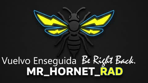 mr_hornet_rad online show from May 4, 1:13 pm