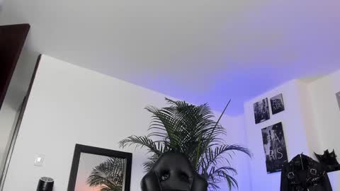 MrFrank. online show from December 21, 3:42 pm