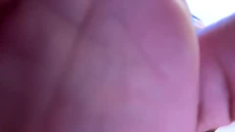 Snapshot of mrfrankfuckforfree chatting on January 15, 5:29 am mrfrankfuckforfree online show from January 15, 5:29 am