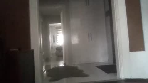 Nikola online show from March 13, 6:43 am