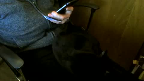 muller520 online show from March 6, 4:37 pm