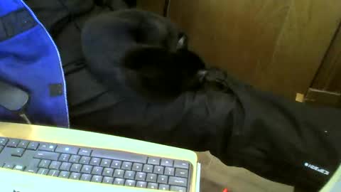 Snapshot of muller520 chatting on January 15, 2:35 pm muller520 online show from January 15, 2:35 pm