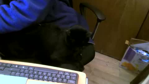 Snapshot of muller520 chatting on February 27, 5:26 pm muller520 online show from February 27, 5:26 pm