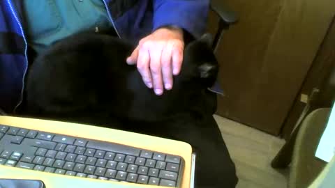 Snapshot of muller520 chatting on February 4, 4:50 pm muller520 online show from February 4, 4:50 pm