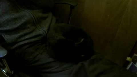 muller520 online show from March 16, 4:11 pm