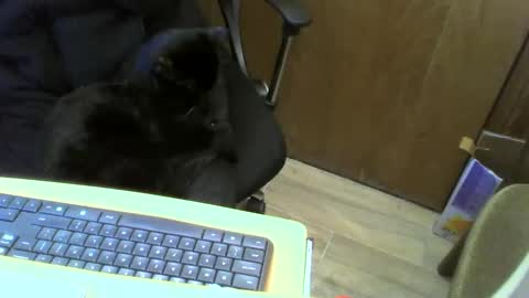 Snapshot of muller520 chatting on January 22, 4:02 pm muller520 online show from January 22, 4:02 pm