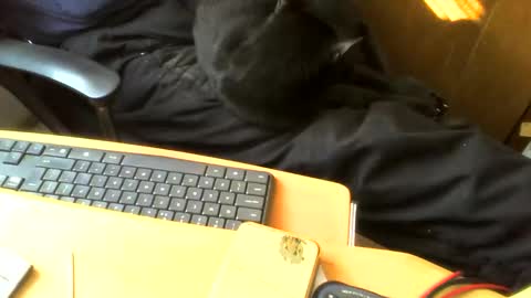 muller520 online show from April 28, 2:33 pm