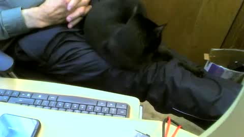 Snapshot of muller520 chatting on September 12, 3:12 pm muller520 online show from September 12, 3:12 pm