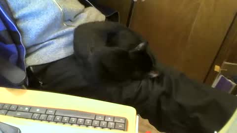 Snapshot of muller520 chatting on February 11, 4:46 pm muller520 online show from February 11, 4:46 pm