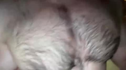 musclehair3 online show from March 18, 10:57 pm