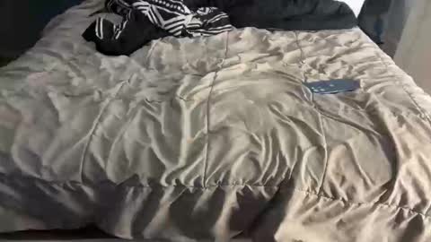 nativesancho online show from February 1, 1:32 pm