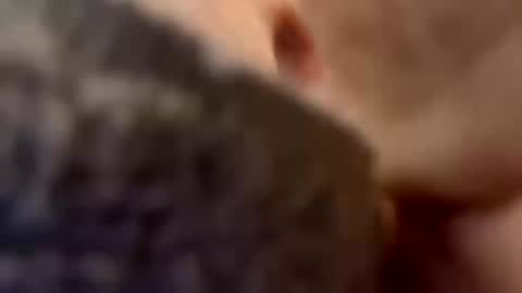 nc710 online show from September 16, 6:47 am