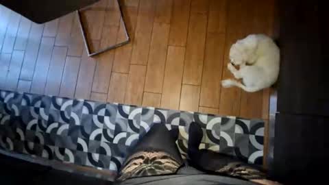 boo online show from February 13, 8:09 am