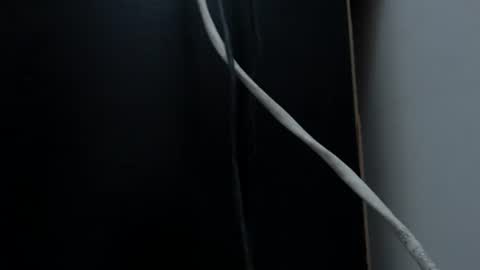 neo000002 online show from February 6, 3:06 am