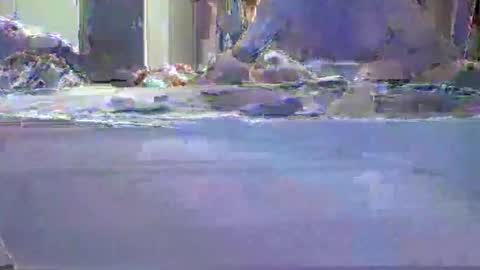 niceausbloke online show from March 27, 10:05 am