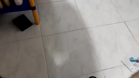 nightinme online show from December 22, 5:04 am