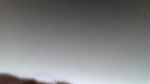 nilsberlin99 online show from March 6, 1:57 am