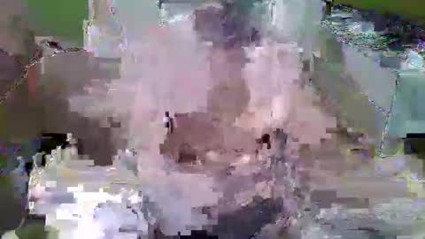 nipsipper online show from October 26, 3:41 am