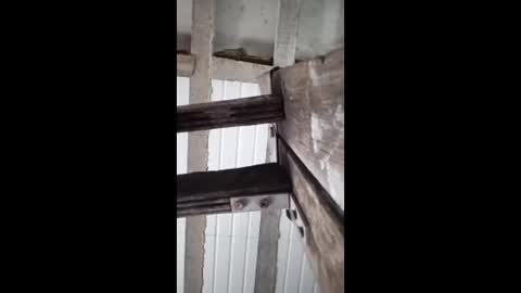 niyo_emmanuel123 online show from January 11, 5:27 pm