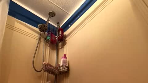 no123love online show from April 9, 4:43 am