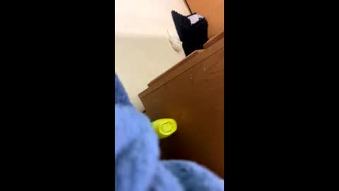 nolliepercflip online show from December 4, 12:06 am