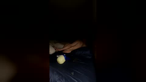 nomercy2026 online show from February 17, 6:45 am