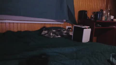 Noon ee online show from October 23, 4:16 am