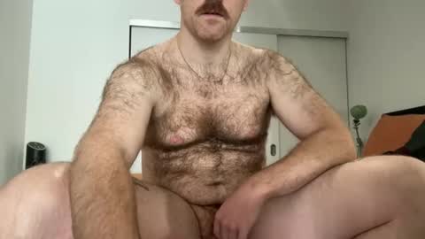 No Plan online show from January 18, 5:15 pm