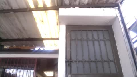 nreus online show from February 9, 4:00 pm