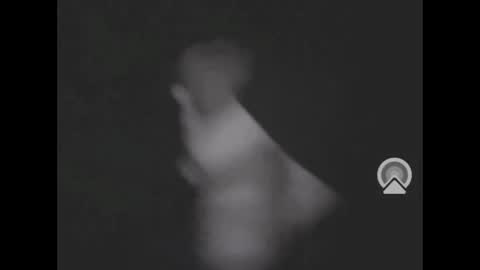 nympham online show from April 11, 5:36 am