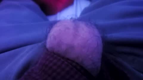 octorok1 online show from December 25, 7:03 am