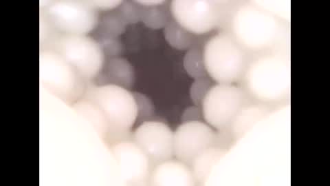 ohioguy4201985 online show from April 14, 7:35 pm