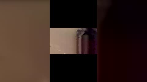 old279093 online show from April 7, 11:54 am