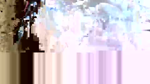 oliver53952925 online show from April 29, 7:02 am