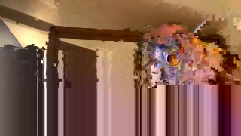 openfriend online show from February 23, 11:36 pm