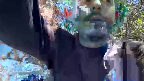 or online show from April 29, 11:15 am