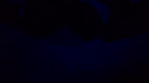 orgazim online show from October 29, 10:07 am