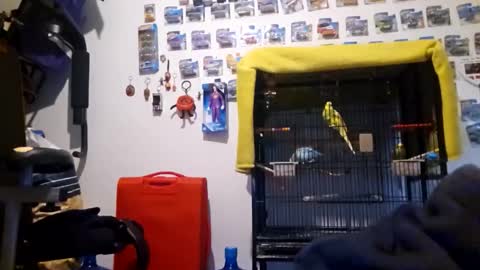 orlandovilla48 online show from March 1, 4:50 pm