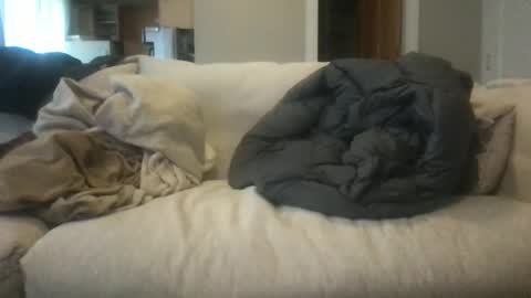 Snapshot of ossignol_xxx chatting on February 14, 12:30 am rossignol online show from February 14, 12:30 am