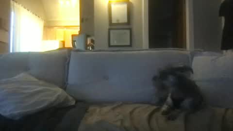 Snapshot of ossignol_xxx chatting on February 27, 1:24 am rossignol online show from February 27, 1:24 am