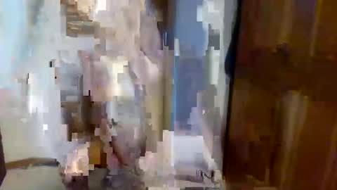 ottofordgay online show from May 2, 2:36 am