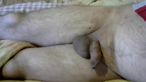 ovid77 online show from November 14, 7:54 am