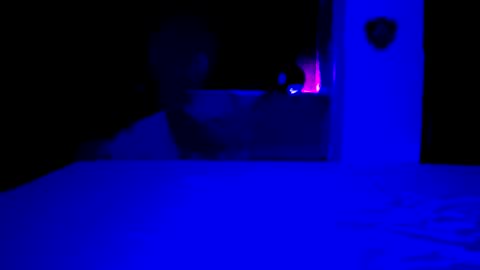 Snapshot of pablouyu chatting on December 10, 3:19 am pablouyu online show from December 10, 3:19 am