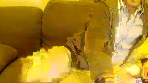 Paikan 07 online show from April 1, 9:12 pm