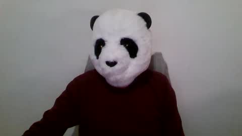 Panda online show from January 23, 12:52 pm