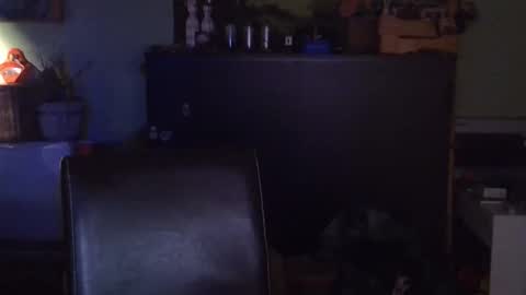 panther176 online show from January 18, 1:29 am