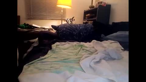 pantiboyanal1986 online show from March 27, 5:33 am