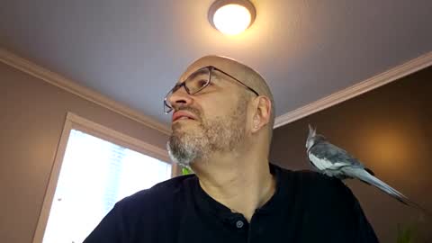 Papi online show from January 14, 1:06 pm